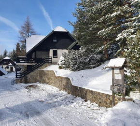 Chalet Anita Rogla, Zreče